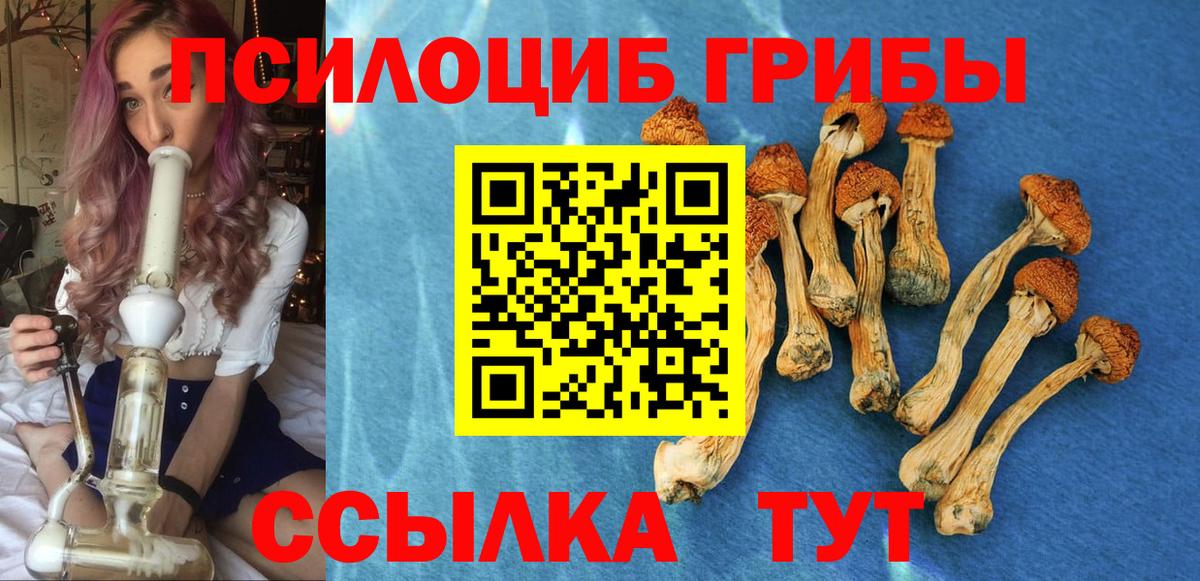 Псилоцибиновые грибы прущие грибы  Галлюциногенные грибы MAGIC MUSHROOMS  Ижевск  Вход с VPN 