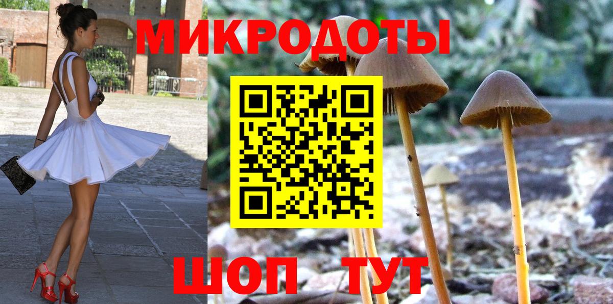 Псилоцибиновые грибы Cubensis Ижевск